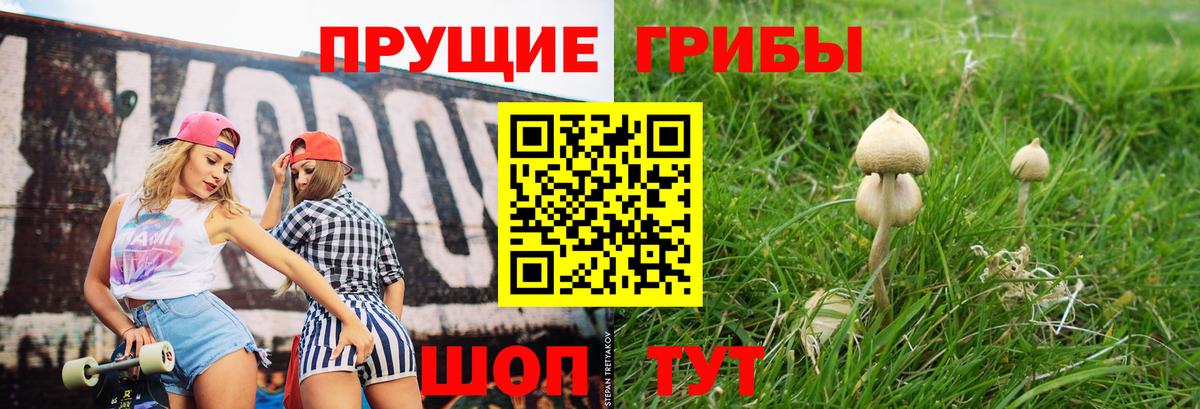 Галлюциногенные грибы прущие грибы  Псилоцибиновые грибы мухоморы  Советский  Вход с VPN 